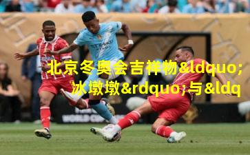 北京冬奥会吉祥物“冰墩墩”与“雪容融”的文化魅力与体育精神