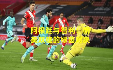 阿根廷与智利：南美双雄的绿茵对决