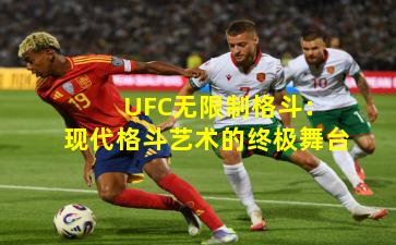 UFC无限制格斗:现代格斗艺术的终极舞台