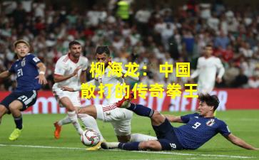 柳海龙:中国散打的传奇拳王