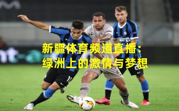 新疆体育频道直播:绿洲上的激情与梦想